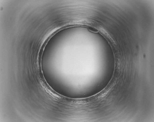 X0000052550884200507221448