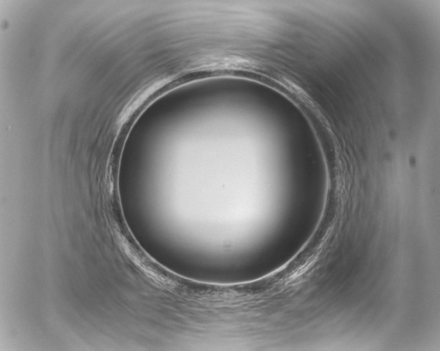 X0000052550885200507221448