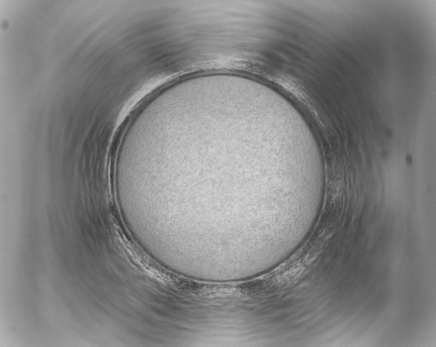 X0000052550886200507221448