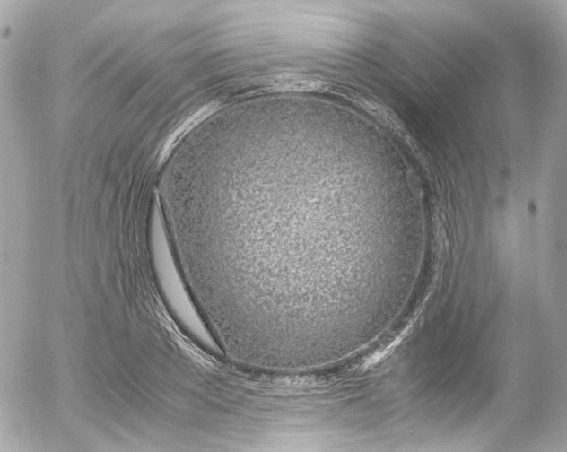 X0000052550889200507221448