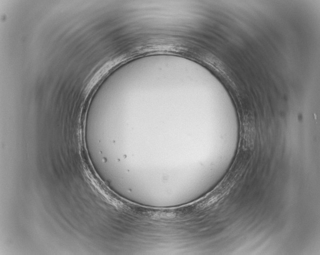 X0000052550890200507221448