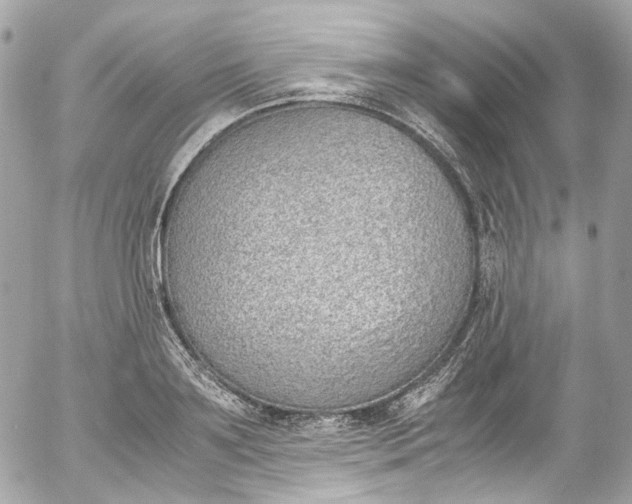 X0000052550891200507221448