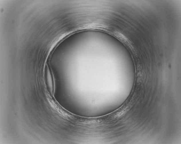 X0000052550892200507221448