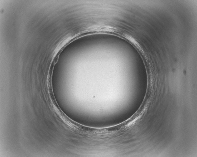 X0000052550893200507221448