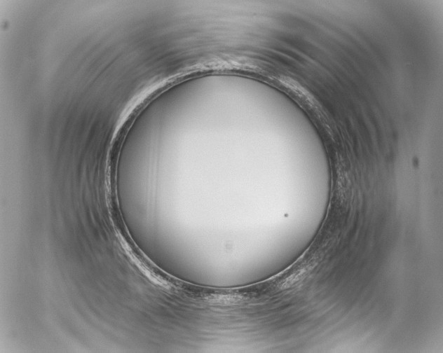 X0000052550894200507221448