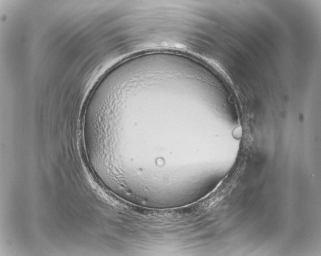 X0000052550895200507221448