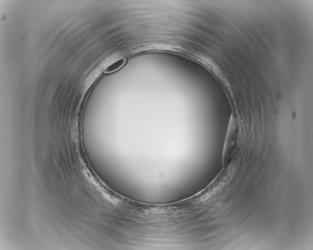 X0000052550898200507221448