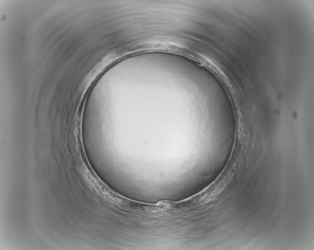 X0000052550899200507221448