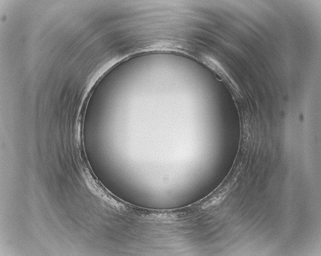 X0000052550900200507221448