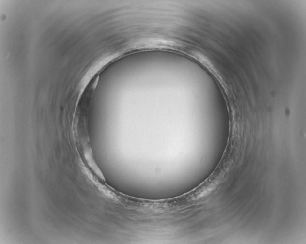 X0000052550901200507221448