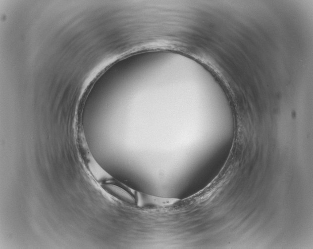 X0000052550902200507221448