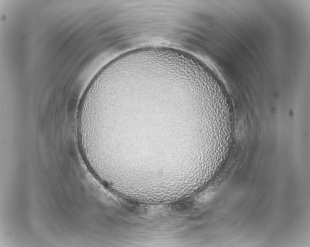 X0000052550903200507221448