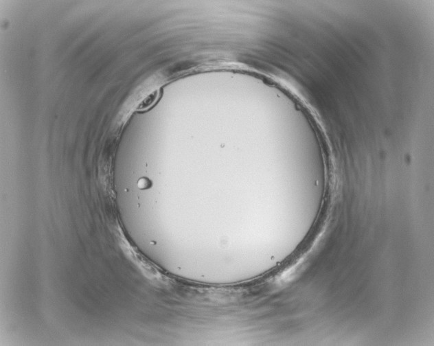 X0000052550905200507221448