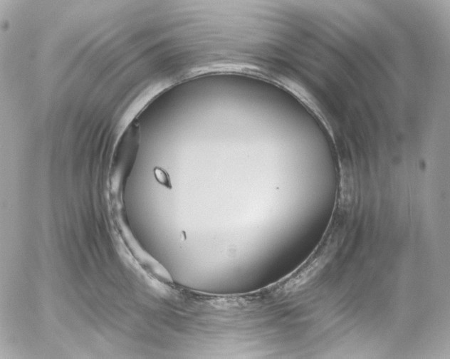 X0000052550906200507221448