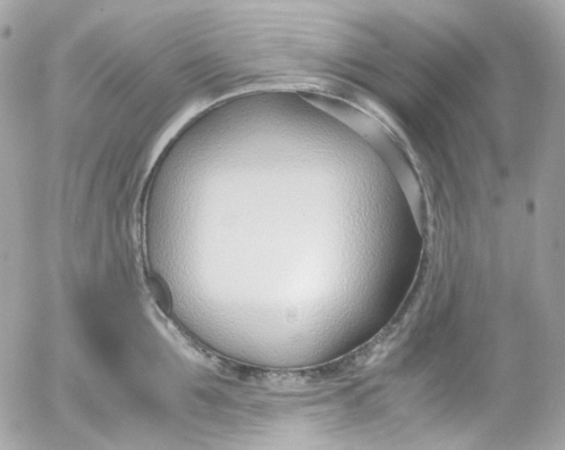 X0000052550907200507221448