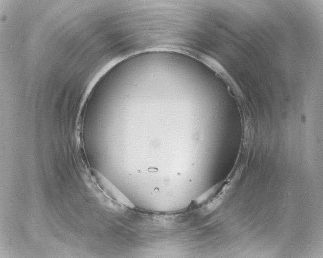 X0000052550908200507221448