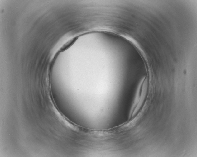 X0000052550910200507221448