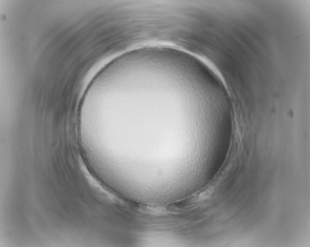 X0000052550911200507221448