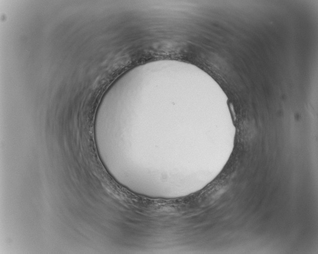 X0000052550913200507221447