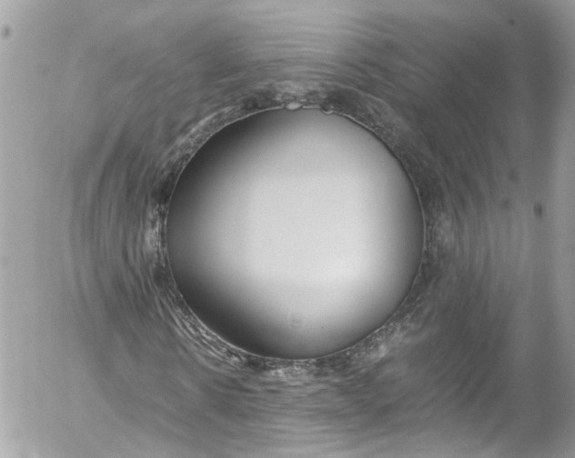 X0000052550914200507221447