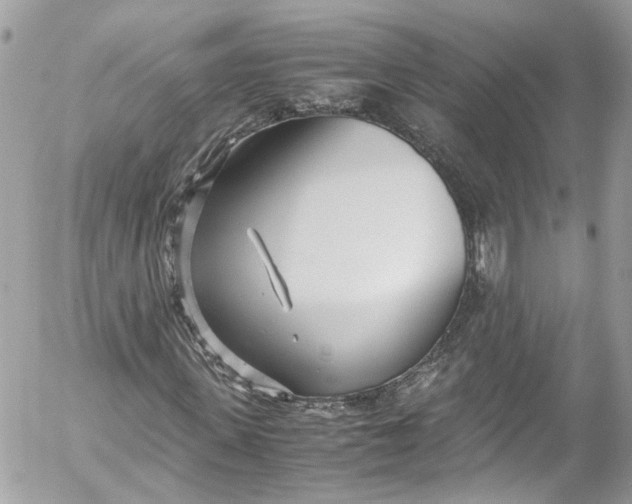 X0000052550915200507221447