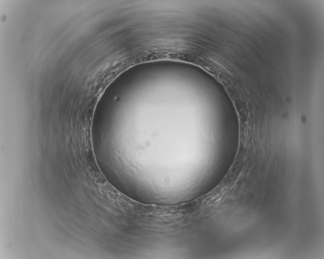 X0000052550917200507221447