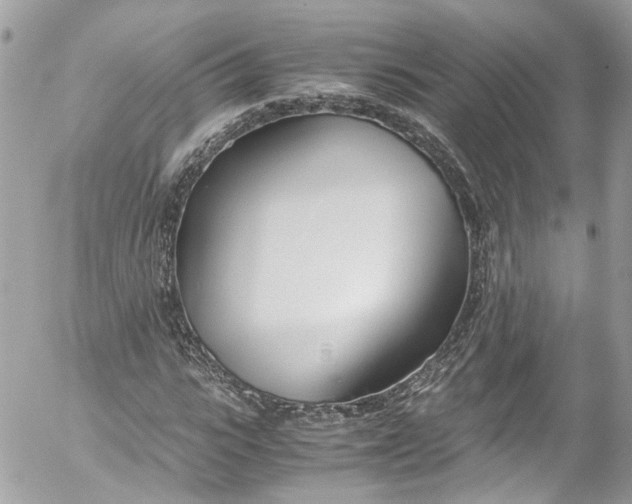 X0000052550919200507221447