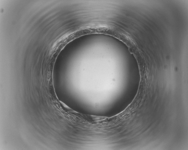 X0000052550920200507221447