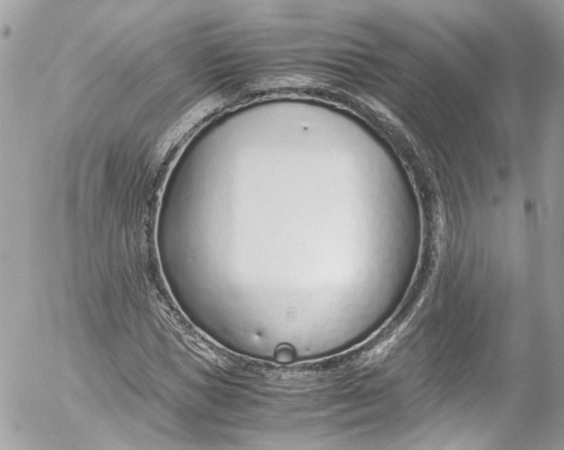 X0000052550921200507221447