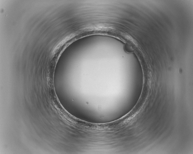 X0000052550922200507221447