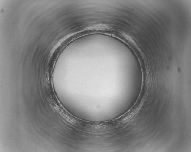 X0000052550923200507221447