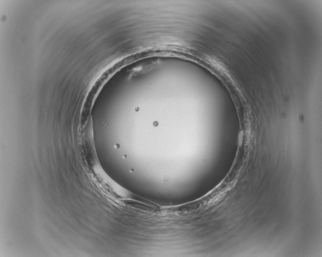 X0000052550924200507221447