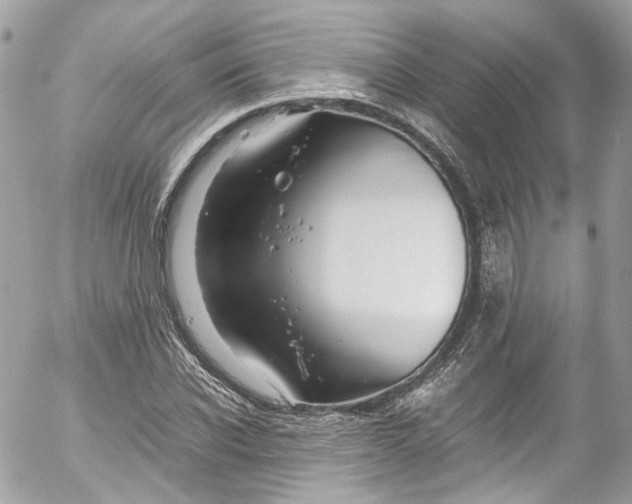 X0000052550926200507221447