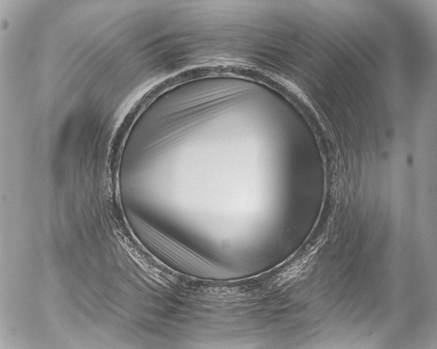 X0000052550927200507221447