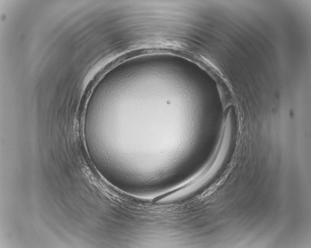 X0000052550928200507221447