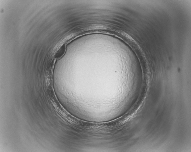 X0000052550929200507221447