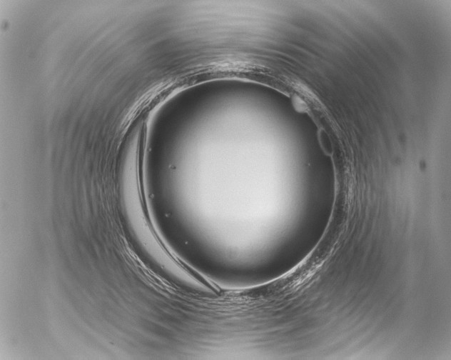 X0000052550930200507221447