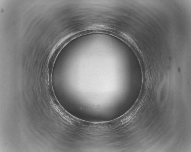 X0000052550931200507221447