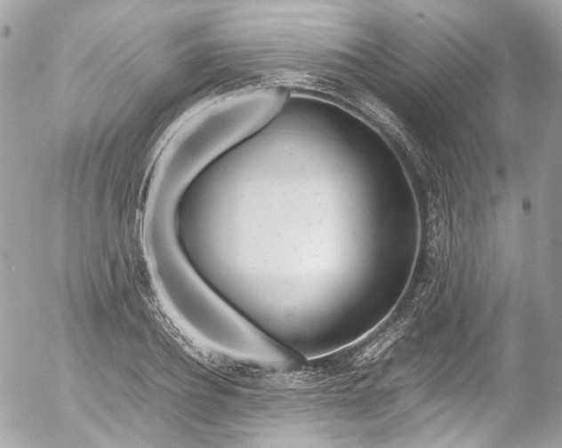 X0000052550932200507221447