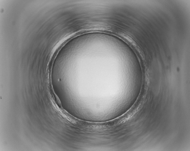 X0000052550933200507221447