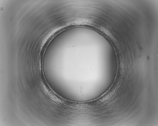 X0000052550934200507221447