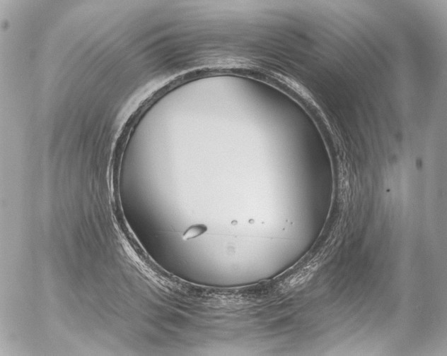 X0000052550935200507221447