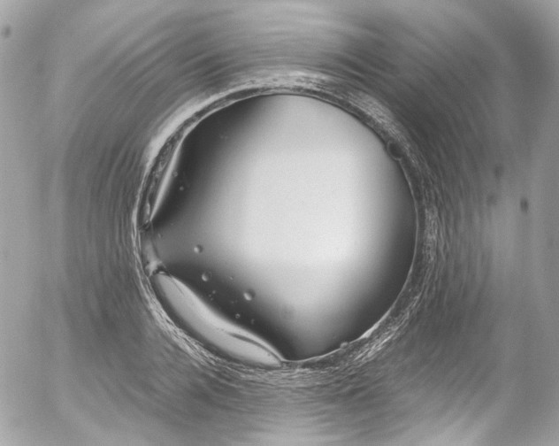 X0000052550936200507221447