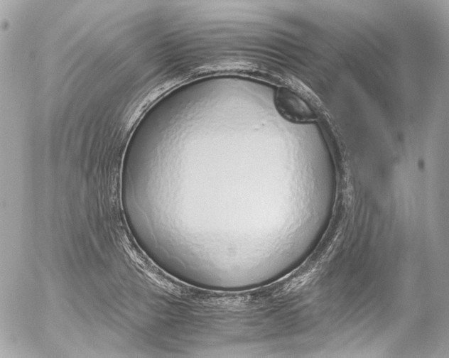 X0000052550937200507221447