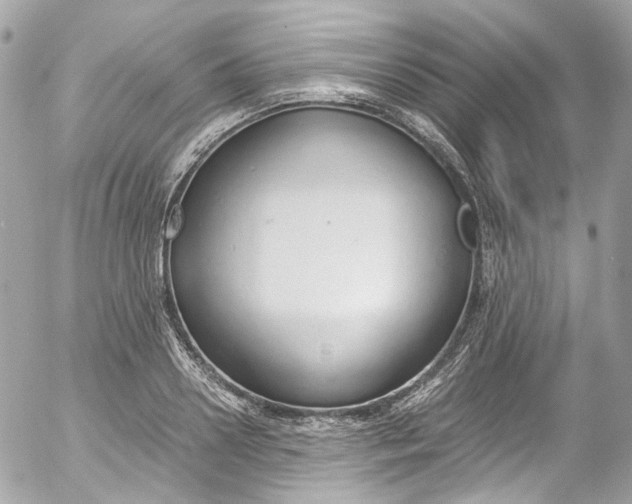 X0000052550938200507221447