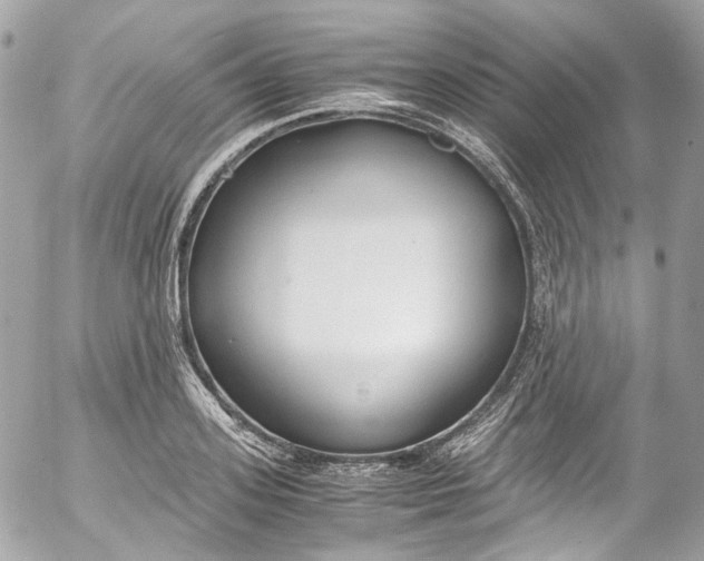 X0000052550939200507221447