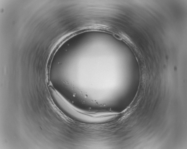 X0000052550940200507221447