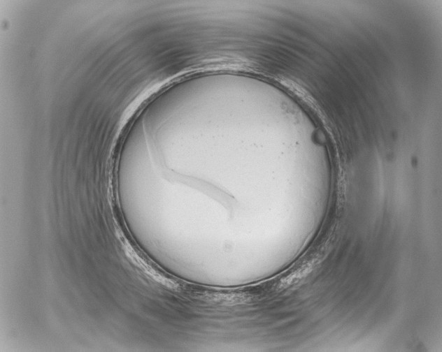 X0000052550941200507221447