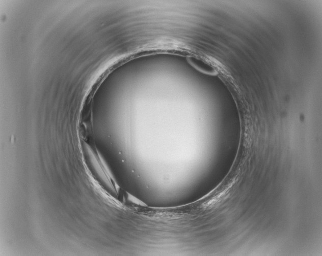 X0000052550942200507221447