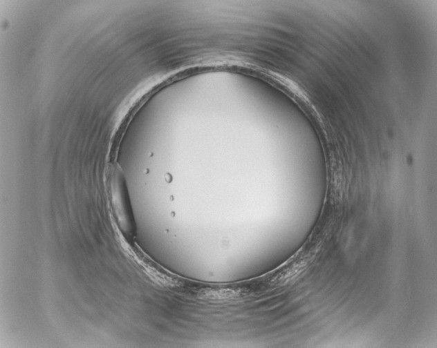 X0000052550943200507221447